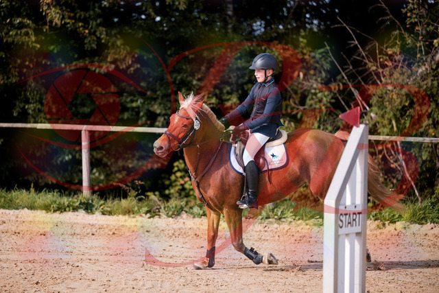 2026_10_03_Siefer-Hof_144723_Z81_24214498 | Professionelle Reitsport-, Turnier- und Eventfotografie von Robert Broda. Galerien mit ausgewählten und bearbeiteten Bildern direkt online ansehen und bestellen.