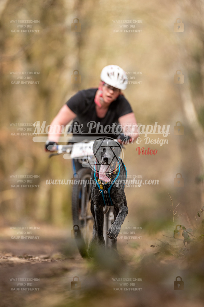 SPA_2023_SAM_Scooter-62 | PayLife