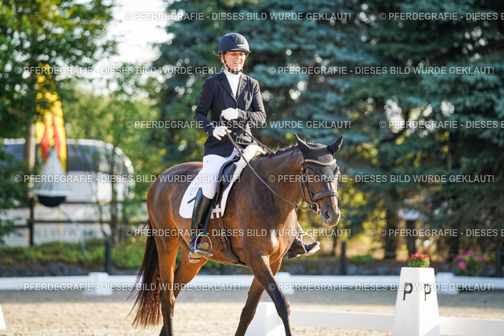 DSC08271 | Pferdegrafie