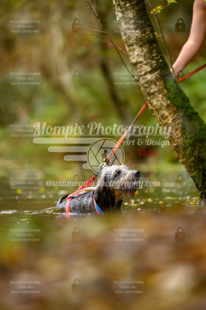 MompixPhotography_20TSB_E1_Run-171 | PayLife