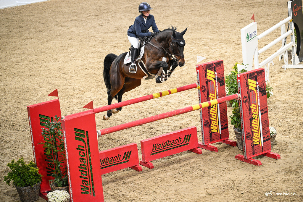 311025-14-109 | Foto Mhisen Pferdefotografie#, Reitturnier Frankfurt#  #Dressur und Springen
#Profi Pferdefotograf Reitturnier Fotograf 
#Sport Horses Photographer 
#equestrain photographer - Realisiert mit Pictrs.com