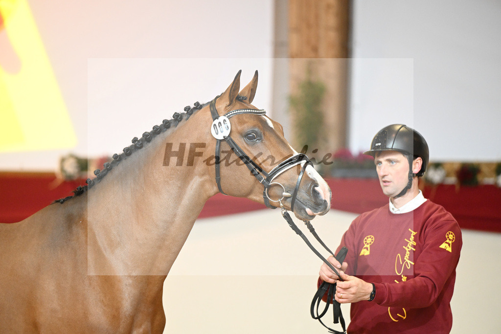 Kat-Nr. 6 Casallco_Hirschhaeuser_1231122 | hf-fotografie - Realisiert mit Pictrs.com
