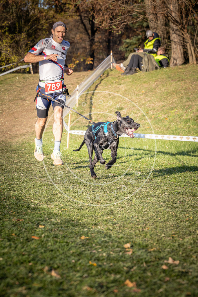 CaniXpix_0L8A0209 | Hundefotografie, Tierfotograf, Pfotenfotografie, Fotoshooting Hund, Hunde Portrait, Hundesport, Hundeportraits, Heideshooting, Hunde, Sportfotograf, Hundefotograf, Turnierhundsport, THS,  - Realisiert mit Pictrs.com