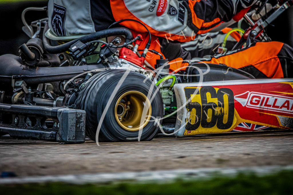 CFFAF7D2-A949-40DF-B8F0-1A537B7D2EEC | traudl_s_fotos