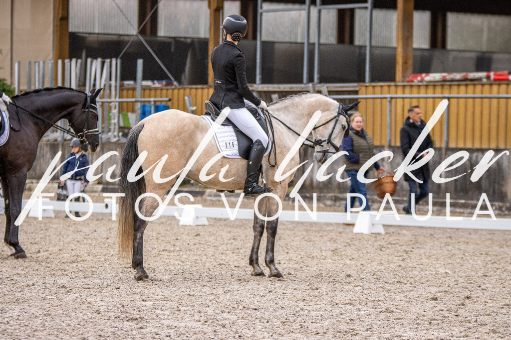 IMG_2653 | Erleben Sie dynamische Sport- und emotionale Tierfotografie in Süddeutschland mit Fotos von Paula. Spezialisiert auf Pferde- und Hundefotografie sowie Sportevents. Kontaktieren Sie mich für einzigartige und ausdrucksstarke Bilder Ihrer besonderen Momente. - Realisiert mit Pictrs.com