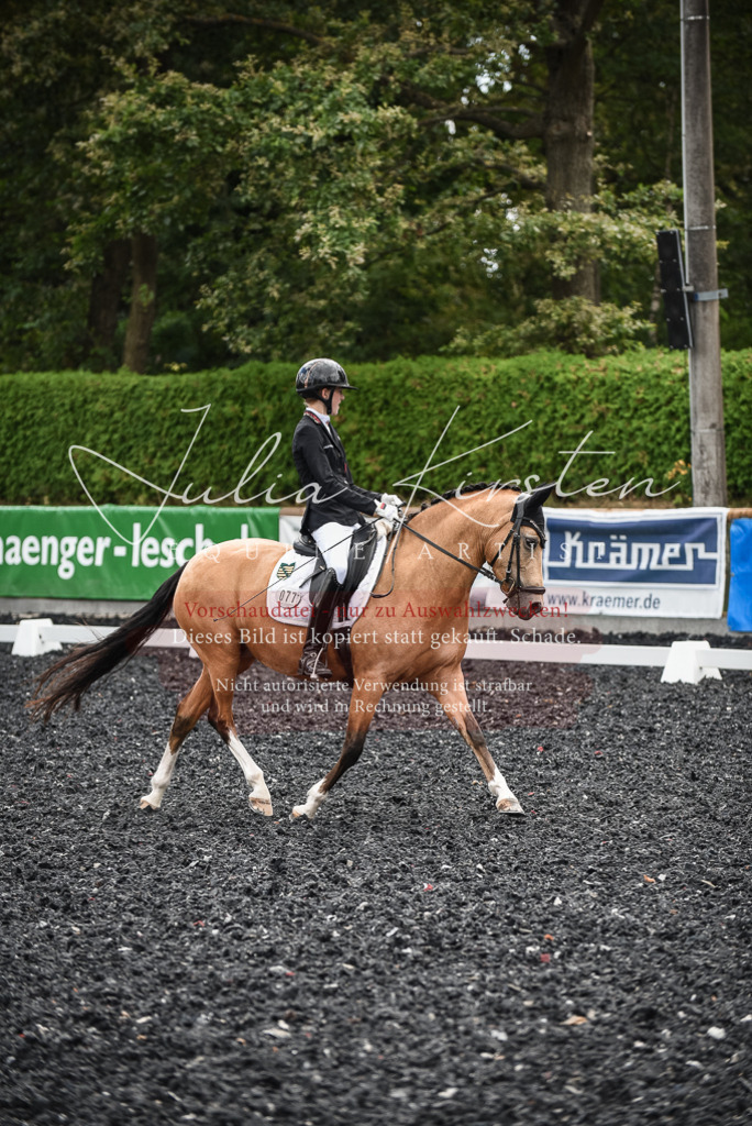 DSC_4422 | Pferde- und Turnierfotografie in Westsachsen. Pferdeportraits, Auftragszeichnungen und intuitive Kunst.