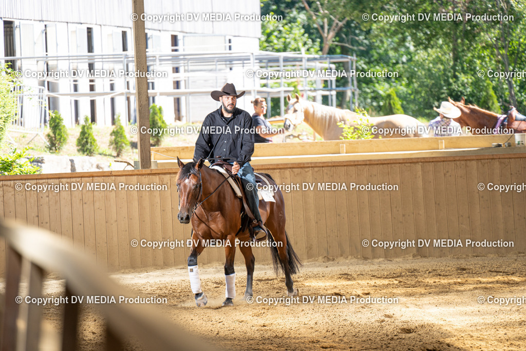 DSC00130 | dv-media-shop - Realisiert mit Pictrs.com