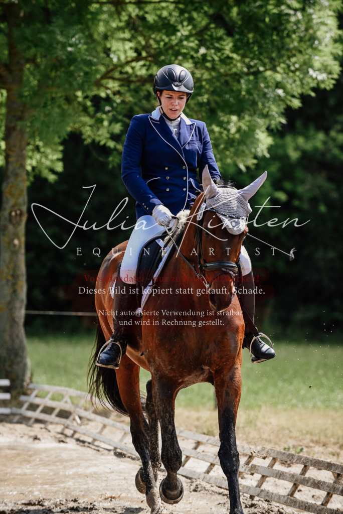 DSC_1184 | Pferde- und Turnierfotografie in Westsachsen. Pferdeportraits, Auftragszeichnungen und intuitive Kunst.