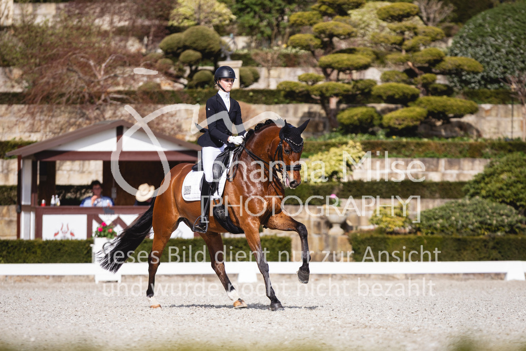 260411_Kronberg_Dressur-M2_Jun-415 | Deine schönsten Turniermomente als professionelle Fotos! Entdecke hochwertige Pferdesport-Fotografie im Online-Shop. Jetzt Fotos finden & bestellen!