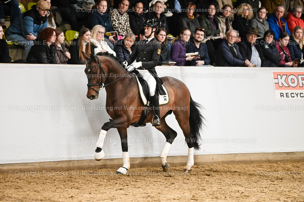 20260307_Hengstvorstellung-Marbach_0380 | equistock