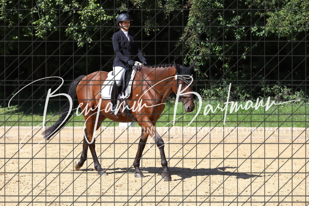 IMG_6576 | Benjamin Bartmann Photomoments