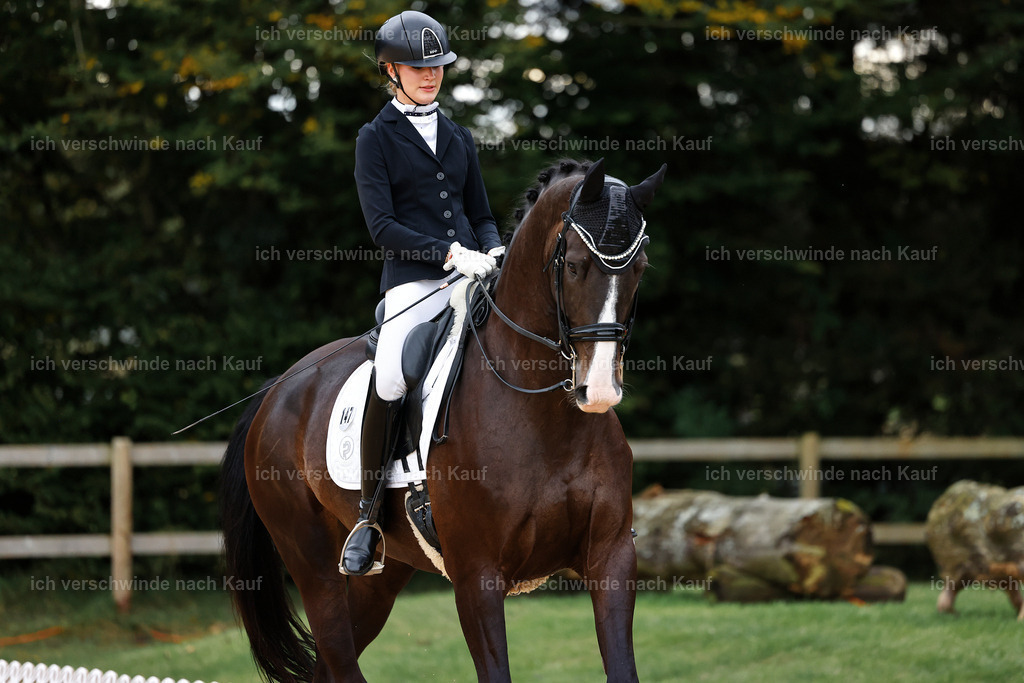 3-147-Dressur M_-StoibPH-2353 | working equitationturnier fotograf videograf stoibphotography marixx film working equitation deutschland reitsport turnierfotografie eventfotografie equestrian events
