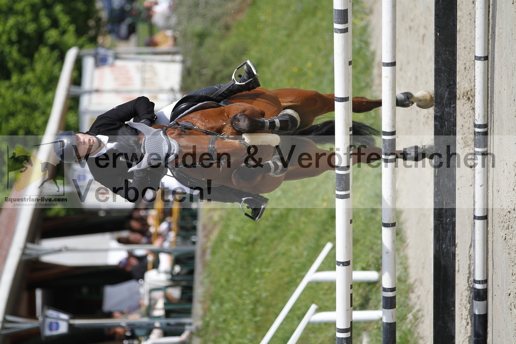 _MG_8687 | equestrian-live-com