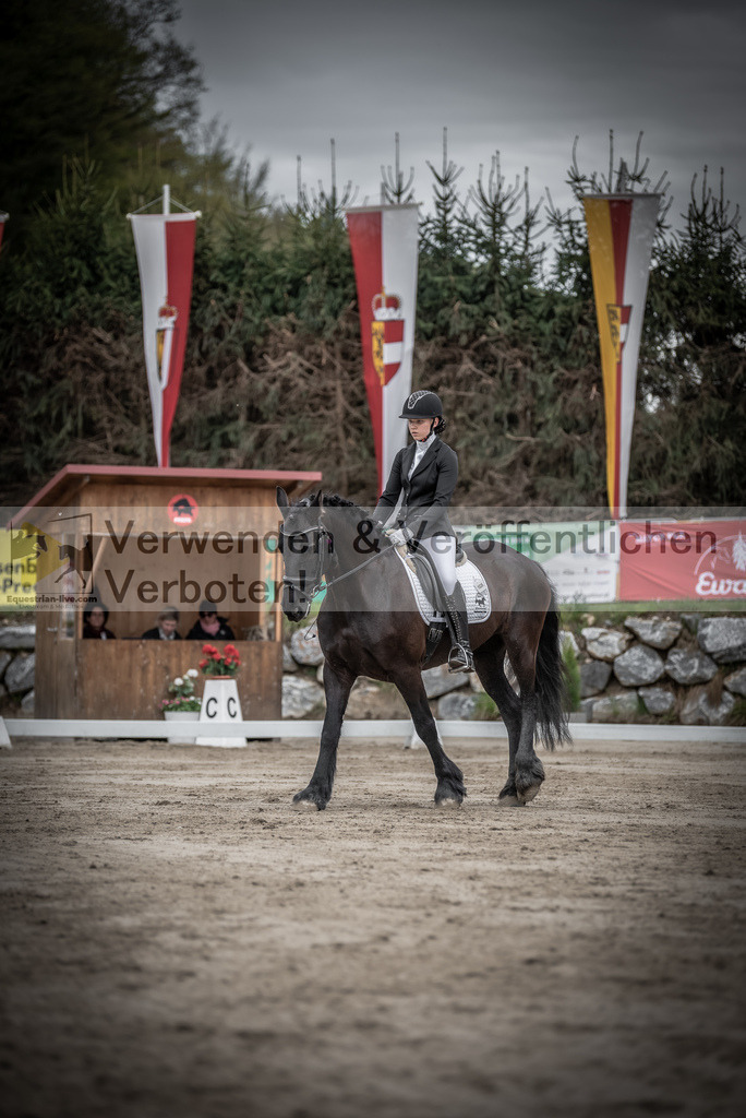 DSC_9253 | equestrian-live-com