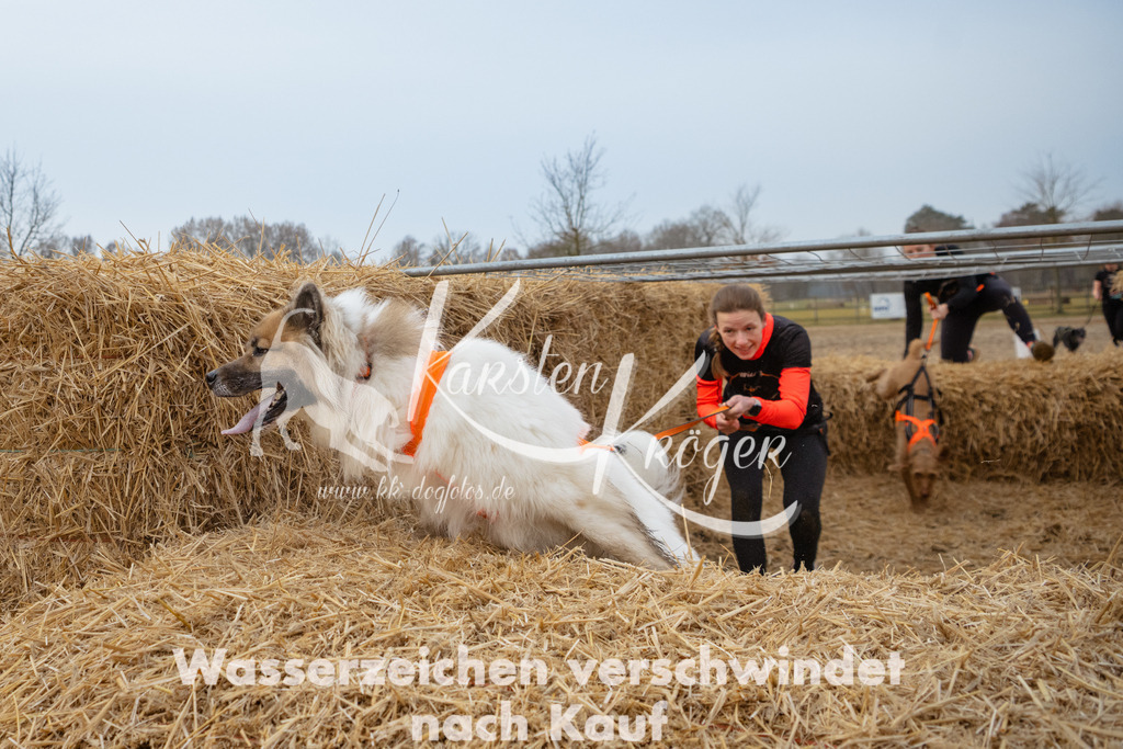 0821_ZZ92565 | kk-dogfotos