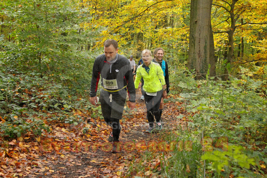 251026_1309_EV4_6575 | Sportfotografie im Rhein-Sieg Kreis, Köln, Bonn, NRW, Rheinland Pfalz, Hessen, etc. Unser Tätigkeitsfeld umfasst den Laufsport vom Volkslauf über den Marathon, Duathlon, Triathon bis zum Ultralauf wie Kölnpfad Ultra oder Schindertrail.