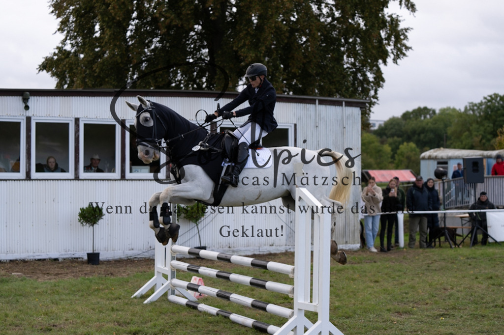 A7V06427 | Pferdefotograf