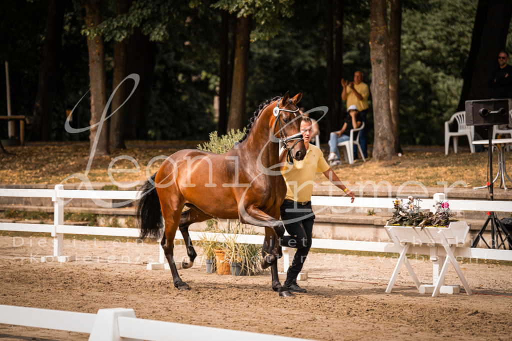 6.Fr00058 | Leoni Ertmer Photography - Realisiert mit Pictrs.com