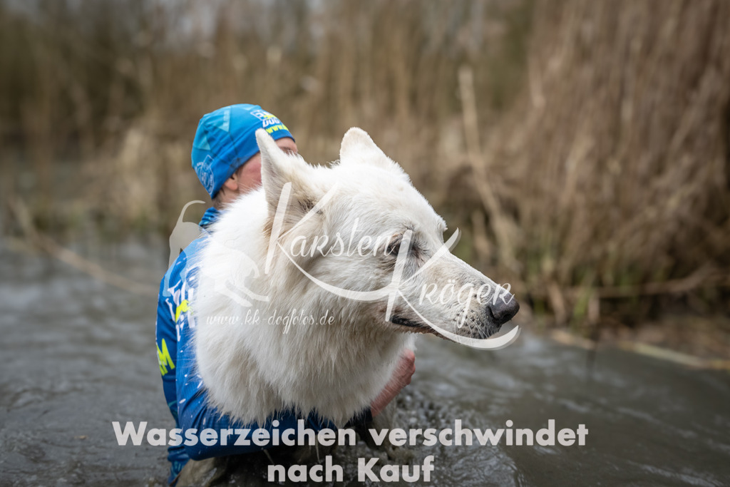 1054_ZZ93733 | kk-dogfotos