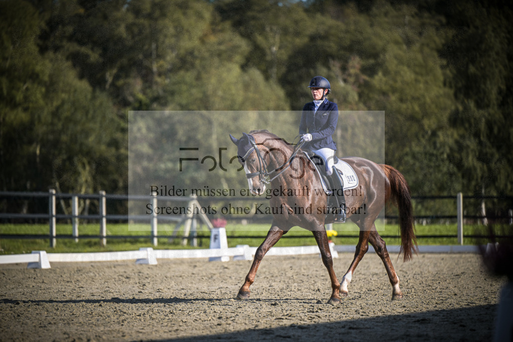 DOS_4918 | Entdecke hochwertige Reitturnierfotos von Foto Oger. Professionell, emotional und authentisch – jetzt Lieblingsmomente im Shop bestellen.Deutschlandweite Turnierfotografie. - Realisiert mit Pictrs.com