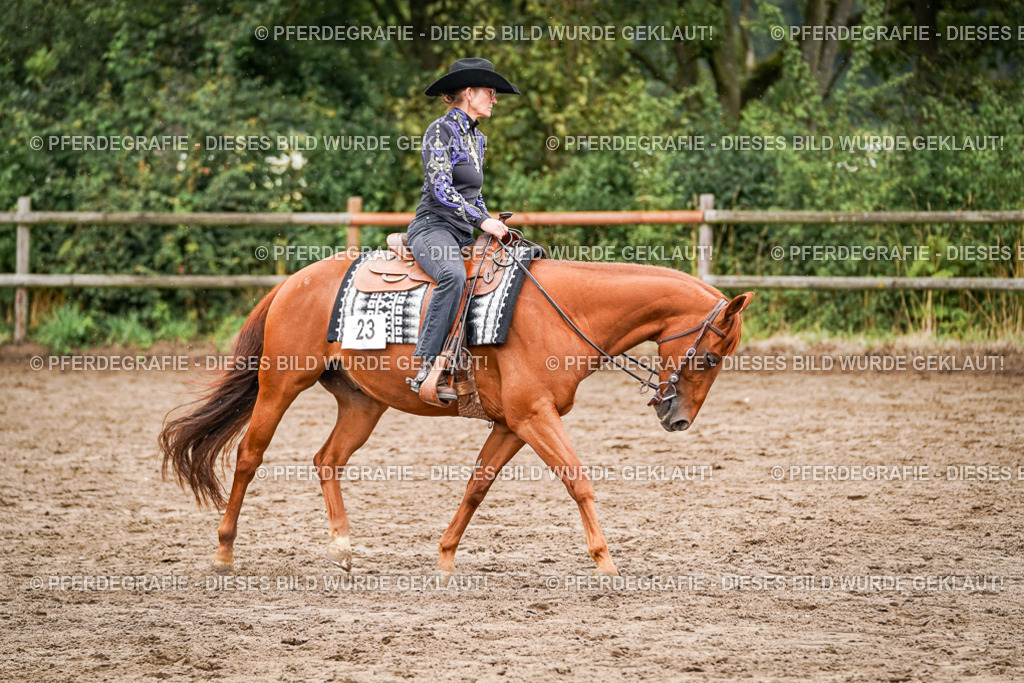 DSC05038 | Pferdegrafie