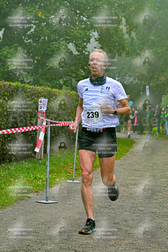 Z8N_1495 | la-psv - Realisiert mit Pictrs.com