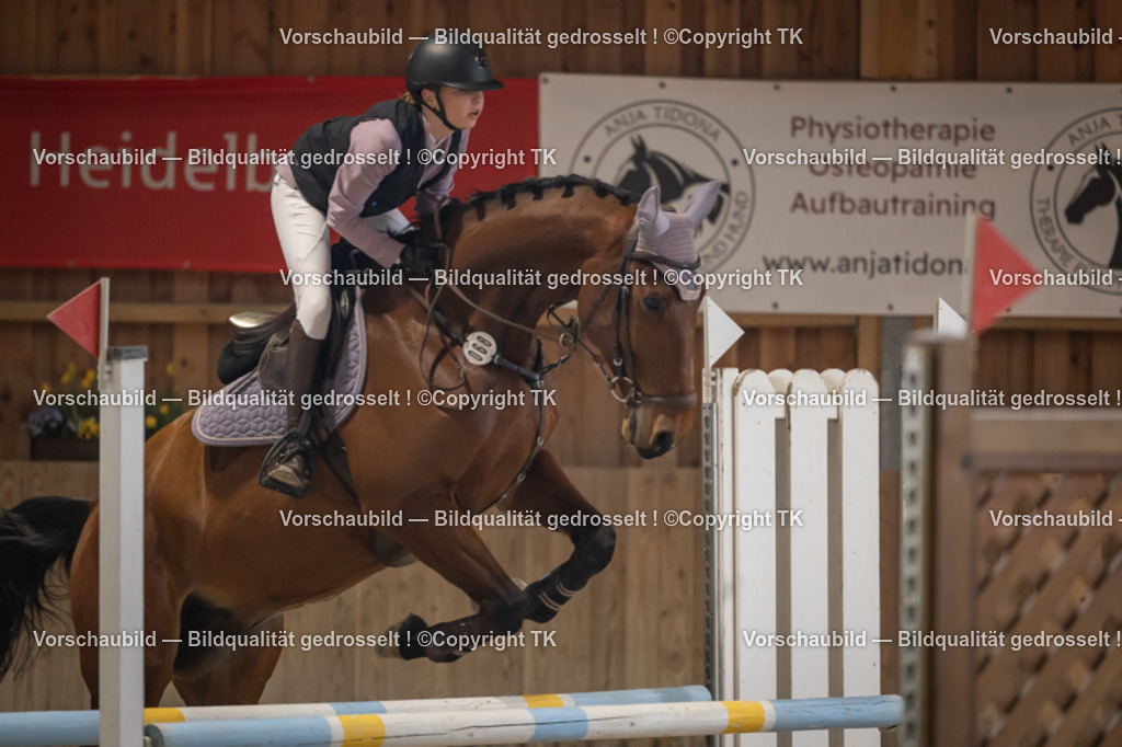 _D5A9712 | Emotionale Pferde- & People-Fotografie rund um Heidelberg, Leimen & Umgebung. Natürliche Fotos von Pferd, Mensch & Familie. Jetzt Termin sichern!