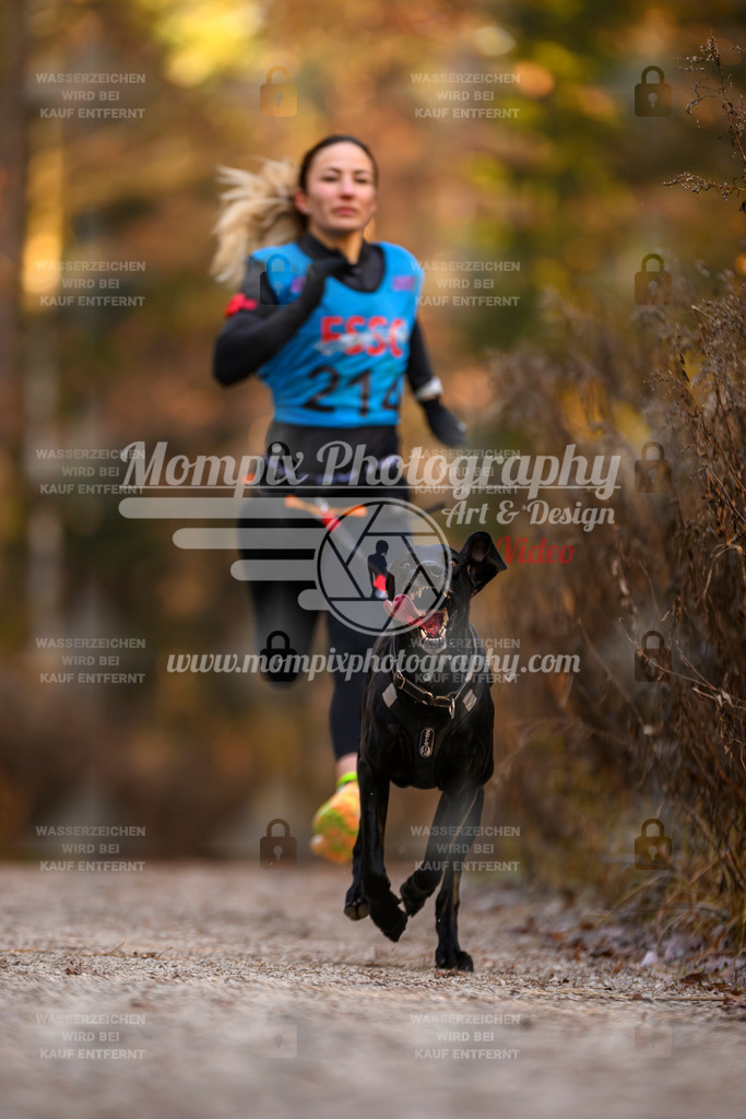 MompixPhotography_DM_AKDM_SO_2025_-27 | PayLife