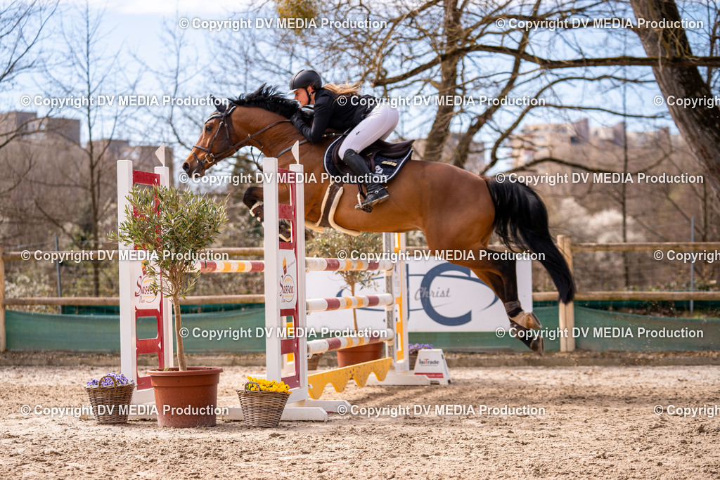 Kranichstein Tag 2-551 | dv-media-shop - Realisiert mit Pictrs.com