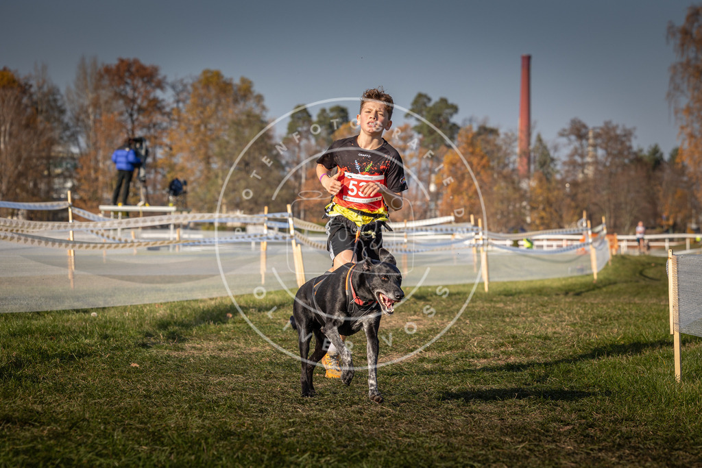 CaniXpix_0L8A8939 | Hundefotografie, Tierfotograf, Pfotenfotografie, Fotoshooting Hund, Hunde Portrait, Hundesport, Hundeportraits, Heideshooting, Hunde, Sportfotograf, Hundefotograf, Turnierhundsport, THS,  - Realisiert mit Pictrs.com