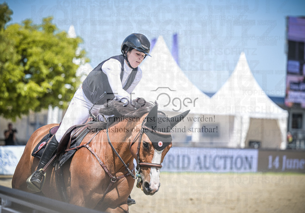 DOS_4086 | Entdecke hochwertige Reitturnierfotos von Foto Oger. Professionell, emotional und authentisch – jetzt Lieblingsmomente im Shop bestellen.Deutschlandweite Turnierfotografie. - Realisiert mit Pictrs.com