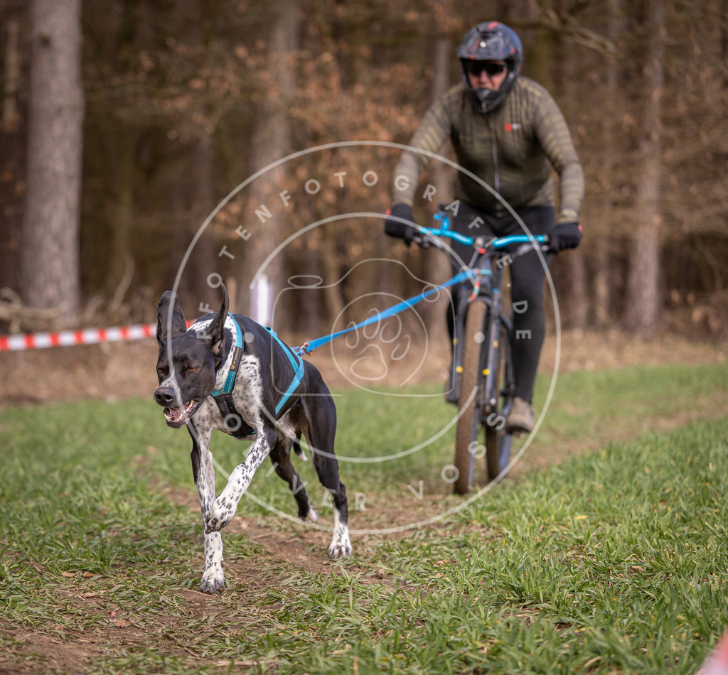 DV3A6148 | Hundefotografie, Tierfotograf, Pfotenfotografie, Fotoshooting Hund, Hunde Portrait, Hundesport, Hundeportraits, Heideshooting, Hunde, Sportfotograf, Hundefotograf, Turnierhundsport, THS,  - Realisiert mit Pictrs.com