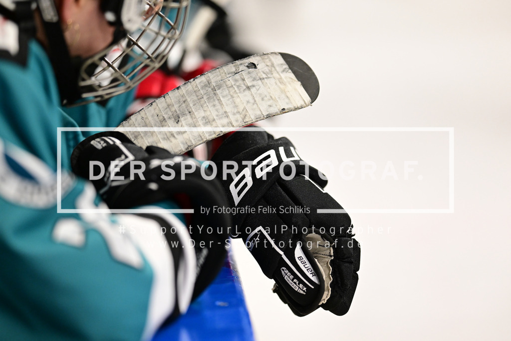 Eishockey I Frauen I Saison 2023-2024 I Testspiel I TuS Harsefeld Tigers - Crocodiles Hamburg I 05097 | Der Sportfotograf. - Realisiert mit Pictrs.com