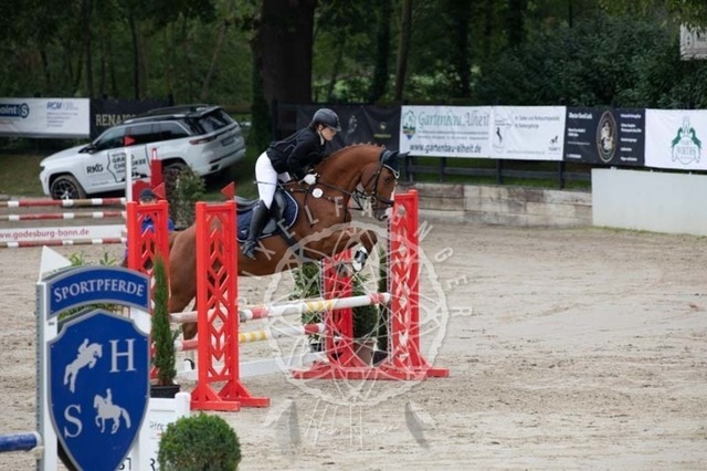 2B4A2309 | pixelfaenger - Realisiert mit Pictrs.com