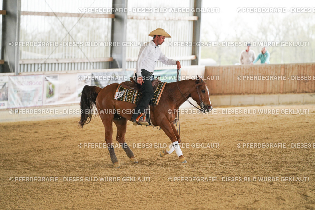 DSC07617 | Pferdegrafie