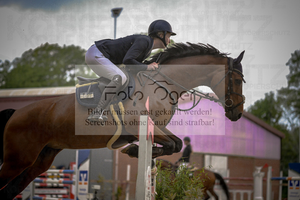 20240505-DOS_3478 | Entdecke hochwertige Reitturnierfotos von Foto Oger. Professionell, emotional und authentisch – jetzt Lieblingsmomente im Shop bestellen.Deutschlandweite Turnierfotografie. - Realisiert mit Pictrs.com