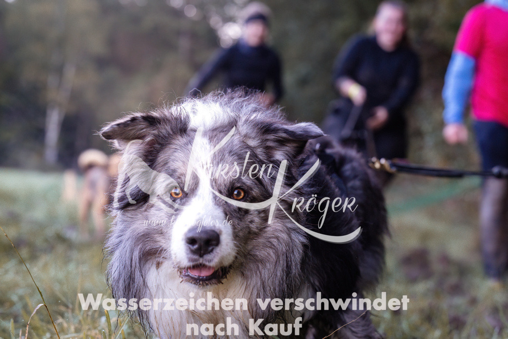 0843_ZZ90768 | kk-dogfotos