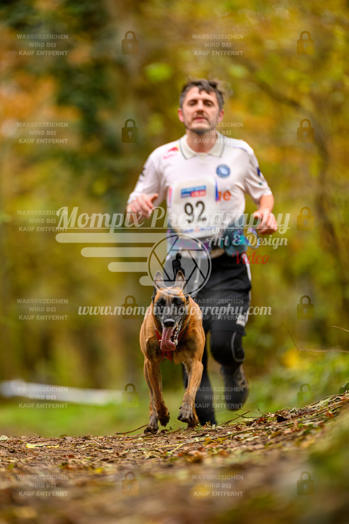 MompixPhotography_Bischwiller24_SA_Canicross-143 | PayLife