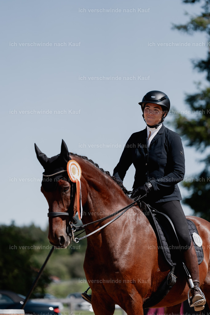 Nadine22_FHC2025-95 | working equitationturnier fotograf videograf stoibphotography marixx film working equitation deutschland reitsport turnierfotografie eventfotografie equestrian events