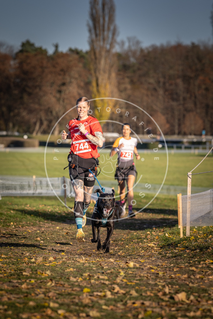 CaniXpix_DV3A2269 | Hundefotografie, Tierfotograf, Pfotenfotografie, Fotoshooting Hund, Hunde Portrait, Hundesport, Hundeportraits, Heideshooting, Hunde, Sportfotograf, Hundefotograf, Turnierhundsport, THS,  - Realisiert mit Pictrs.com