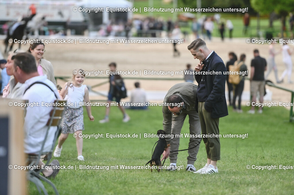 D78_3366 | equistock