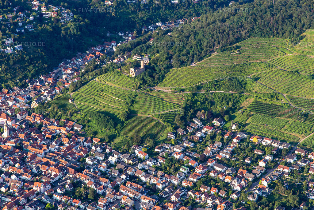 Luftbild: Burgruine Schauenburg in Schriesheim im Bundesland Baden-Württemberg in Deutschland. – Foto: IMG_142611.jpg vom 18.07.2024 durch Werner Riehm/FLY-FOTO.de – Auflösung des Originals: 5472 x 3648 px – heimatverein-dossenheim.de