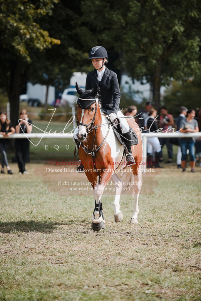 DSC_5439 | Pferde- und Turnierfotografie in Westsachsen. Pferdeportraits, Auftragszeichnungen und intuitive Kunst.