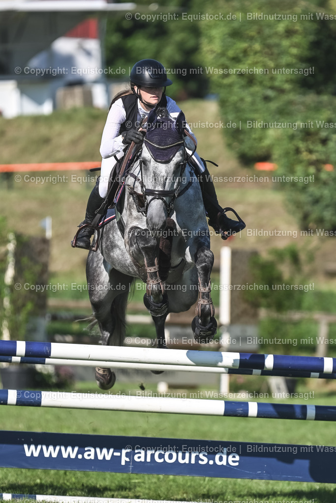 20230908_14-15_Springpferde-A_0081 | equistock