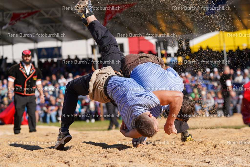 DSC09149-2 | René Burch leidenschaftlicher Fotograf aus Kerns in Obwalden.  Hier finden sie Sport, Landschaft und Natur Fotografie.
 - Realisiert mit Pictrs.com