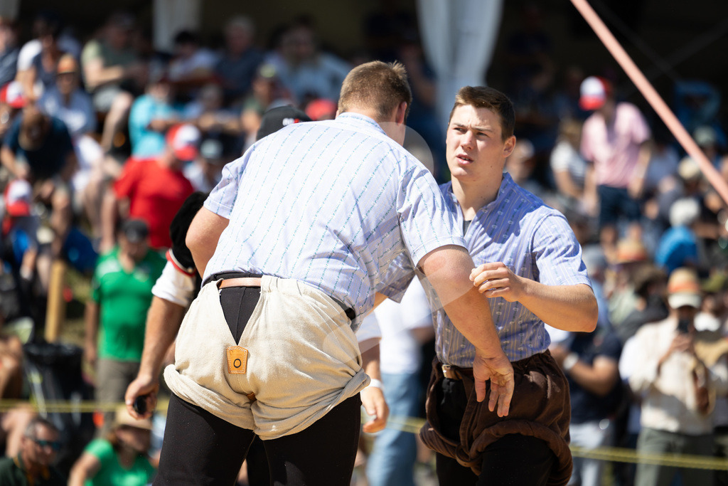 Rigi2025_2317 | Die Schwinger des Schwyzer Kantonalen Schwingerverbandes: Fotos, die Dynamik und Leidenschaft festhalten, sowie emotionale Momente aus dem traditionellen Schwingsport zeigen. - Realisiert mit Pictrs.com