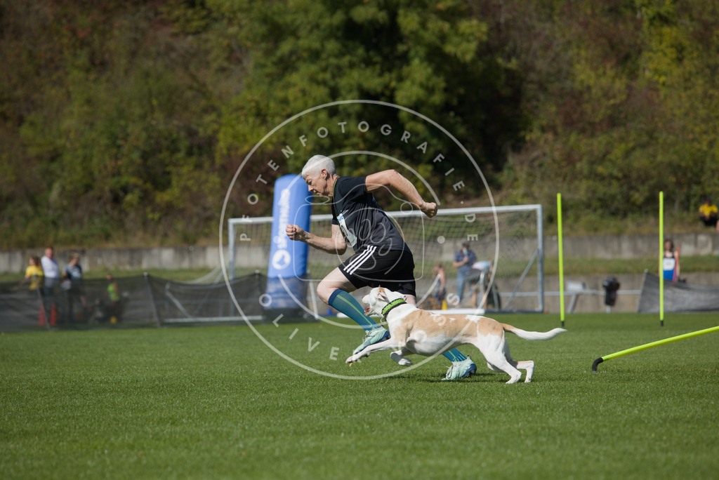 0L8A6667 | Hundefotografie, Tierfotograf, Pfotenfotografie, Fotoshooting Hund, Hunde Portrait, Hundesport, Hundeportraits, Heideshooting, Hunde, Sportfotograf, Hundefotograf, Turnierhundsport, THS,  - Realisiert mit Pictrs.com