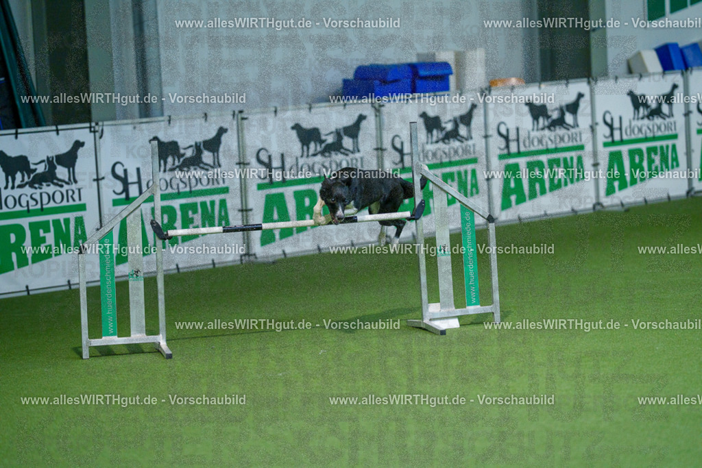 @allesWIRTHgut_Tierfotografie - www.allesWIRTHgut.de - 2604250951-7R509157 | Professionelle Tierfotografie in Mönchengladbach von Daniel Wirth (allesWIRTHgut). Liebevolle & natürliche Bilder von Hunden & Katzen für unvergessliche Erinnerungen.