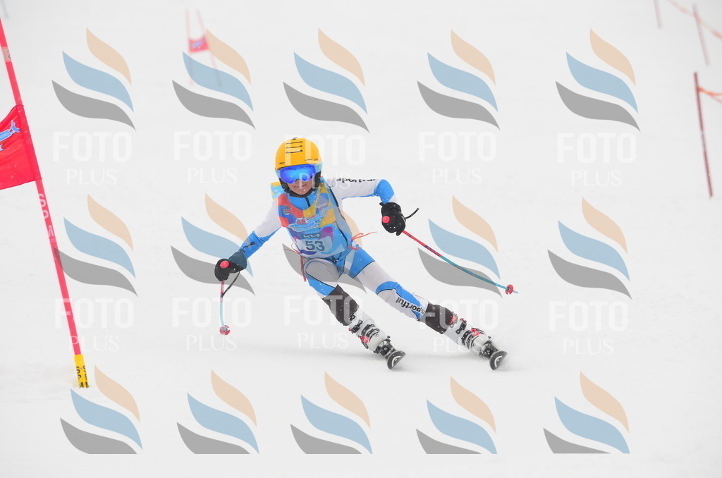 C0977 | holidayphoto