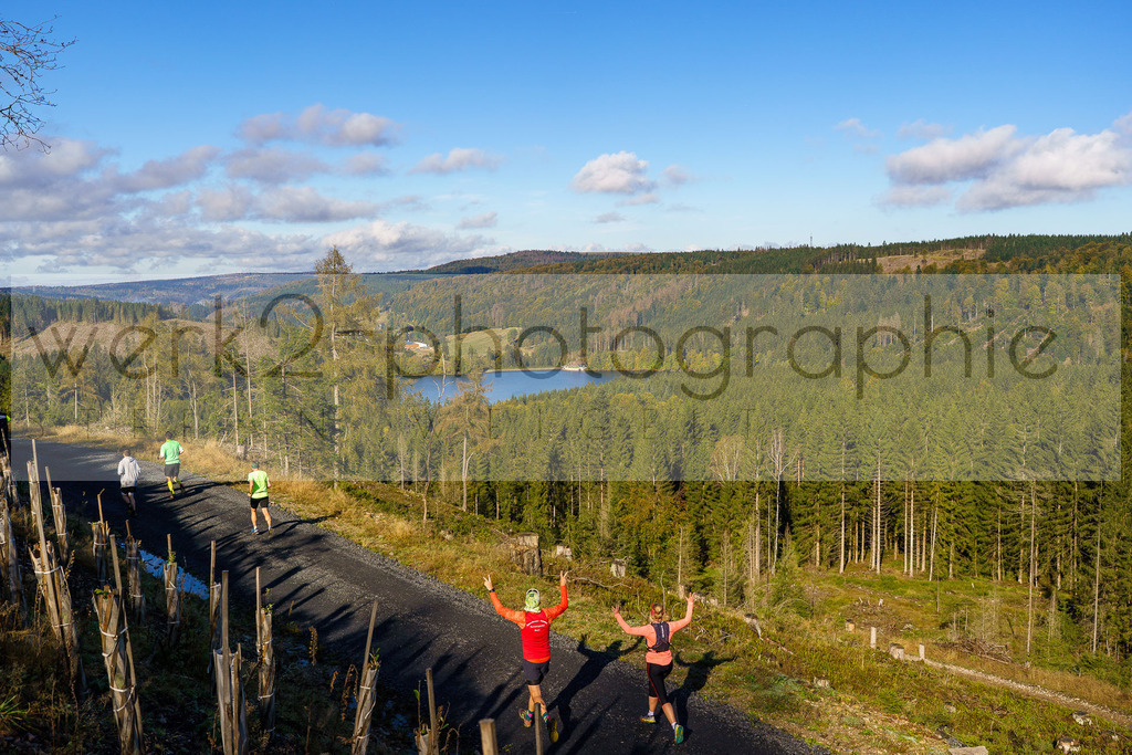 Herbstlauf 2024 | Rennsteig-Herbstlauf von Neuhaus am Rennweg nach Masserberg am 6. Oktober 2024